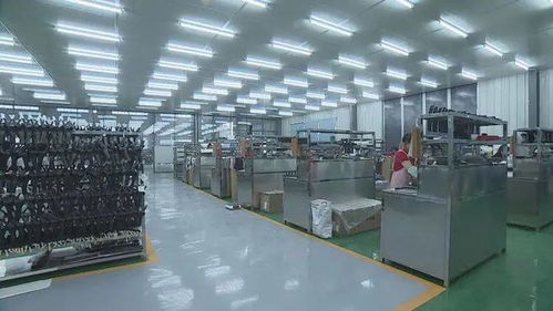 成武民營企業 揚帆出海，暢銷海內外市場